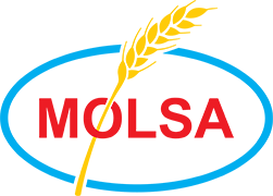 Molsa — Molinos de El Salvador